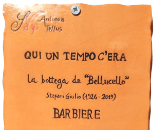 bellucello2